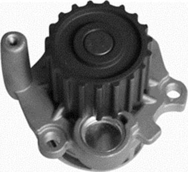 Tradex France TPE-SK138 - Water Pump autospares.lv