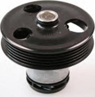 Tradex France TPE-V165 - Water Pump autospares.lv