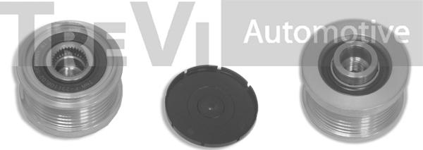 Trevi Automotive AP1018 - Pulley, alternator, freewheel clutch autospares.lv