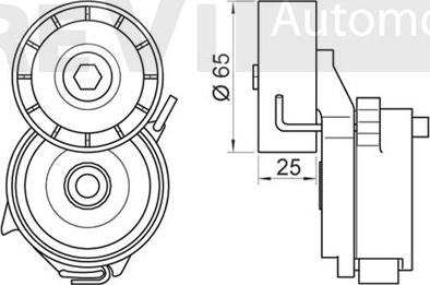 Trevi Automotive TA1983 - Belt Tensioner, v-ribbed belt autospares.lv