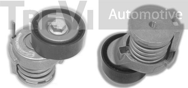 Trevi Automotive TA1621 - Belt Tensioner, v-ribbed belt autospares.lv