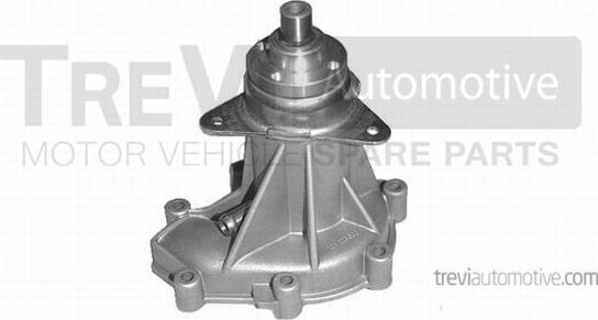 Trevi Automotive TP546 - Water Pump autospares.lv