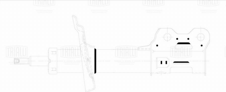 Trialli AG 21168 - Shock Absorber autospares.lv