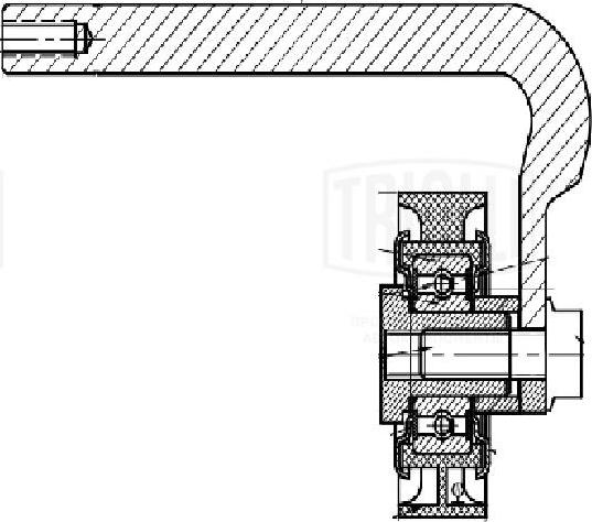 Trialli CM 5678 - Belt Tensioner, v-ribbed belt autospares.lv