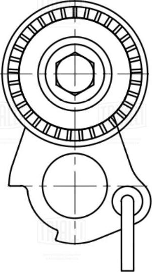 Trialli CM 5079 - Belt Tensioner, v-ribbed belt autospares.lv