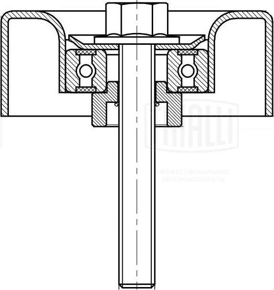 Trialli CM 5125 - Pulley, v-ribbed belt autospares.lv