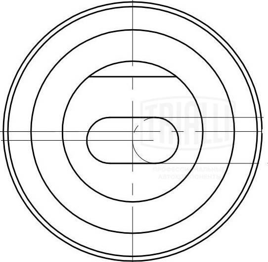 Trialli CM 6095 - Tensioner Pulley, timing belt autospares.lv