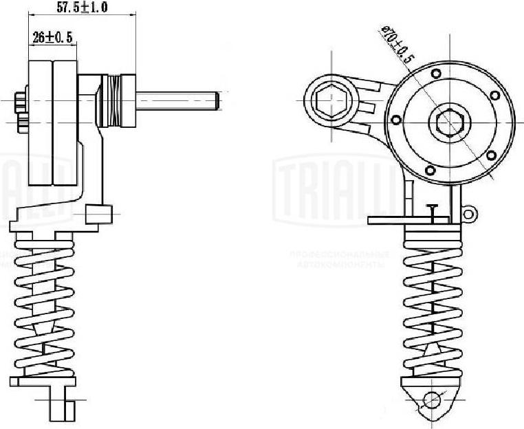 Trialli CM 0508 - Pulley, v-ribbed belt autospares.lv