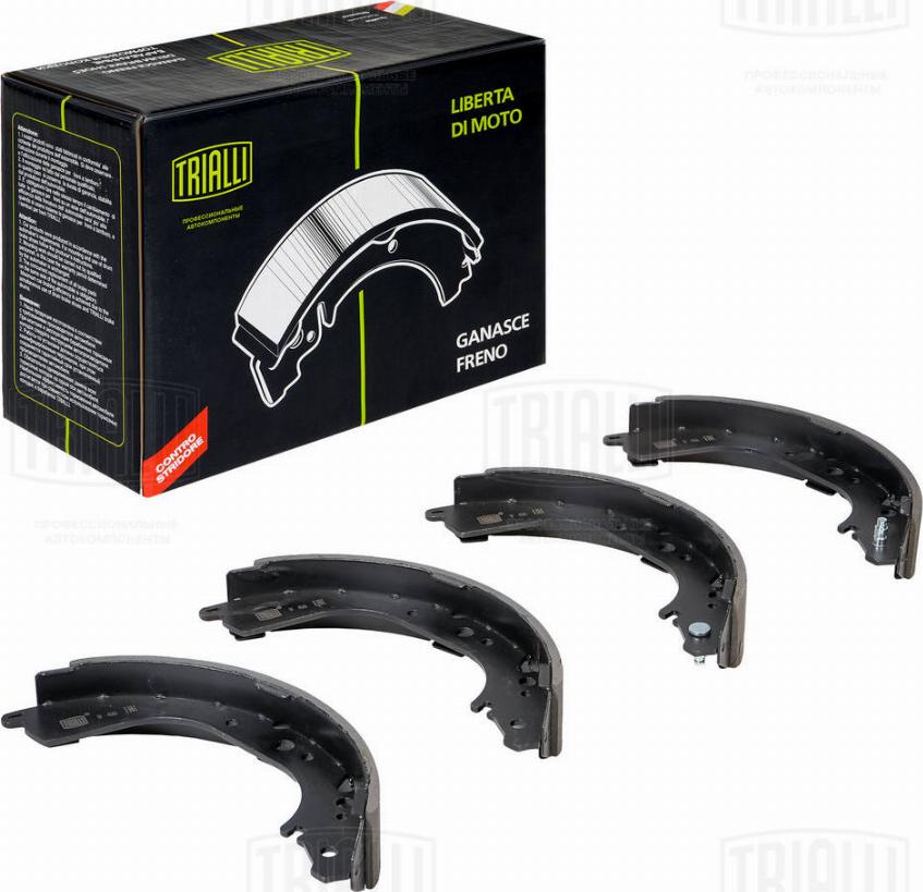 Trialli GF 4565 - Brake Shoe Set autospares.lv