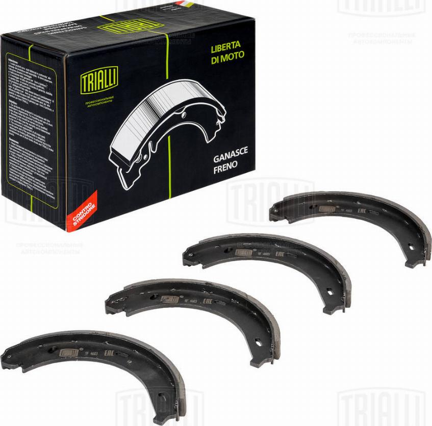 Trialli GF 4603 - Brake Shoe Set, parking brake autospares.lv