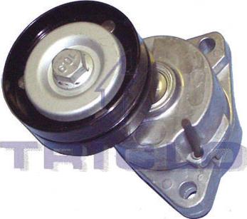 Triclo 428499 - Belt Tensioner, v-ribbed belt autospares.lv