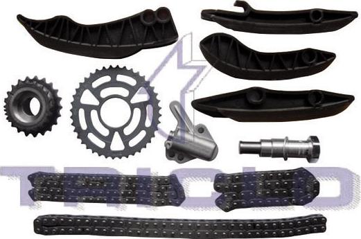 Triclo 422 165 - Guides, timing chain autospares.lv