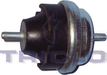 Triclo 361600 - Holder, engine mounting autospares.lv