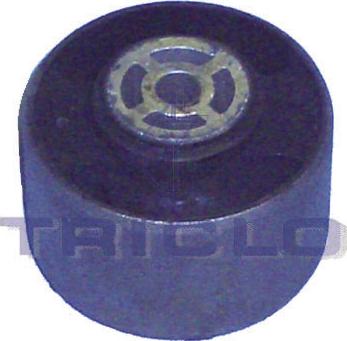 Triclo 361602 - Holder, engine mounting autospares.lv