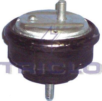 Triclo 363917 - Holder, engine mounting autospares.lv