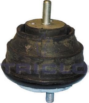 Triclo 362303 - Holder, engine mounting autospares.lv