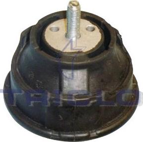 Triclo 362202 - Holder, engine mounting autospares.lv