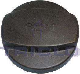 Triclo 313197 - Sealing Cap, oil filling port autospares.lv