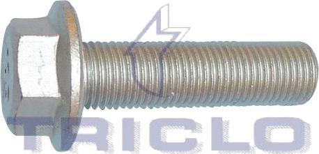 Triclo 335906 - Pulley Bolt autospares.lv