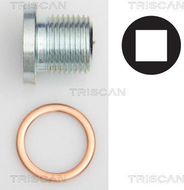 Triscan 9500 1004 - Sealing Plug, oil sump autospares.lv