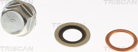 Triscan 9500 1001-20 - Sealing Plug, oil sump autospares.lv