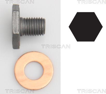 Triscan 9500 1010 - Sealing Plug, oil sump autospares.lv