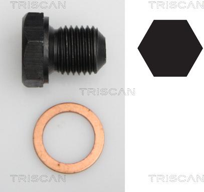 Triscan 9500 2902 - Sealing Plug, oil sump autospares.lv