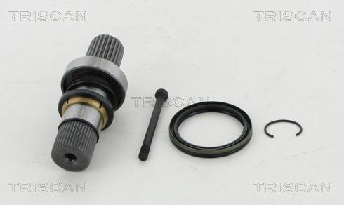 Triscan 8540 295004 - Stub Axle, differential autospares.lv