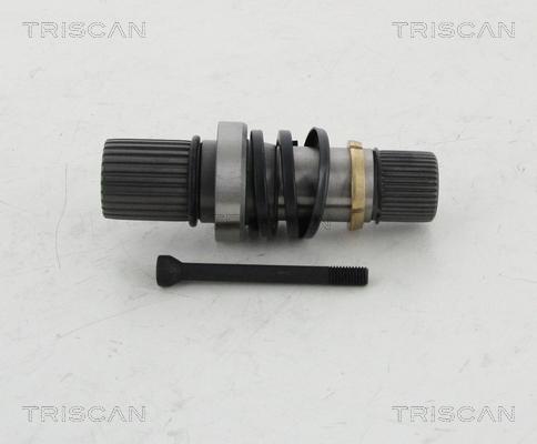 Triscan 8540 29691 - Stub Axle, differential autospares.lv