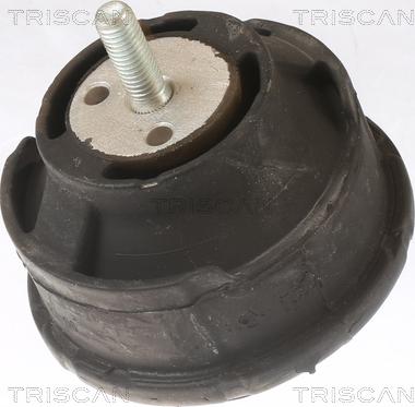 Triscan 8505 11101 - Holder, engine mounting autospares.lv