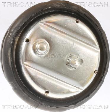 Triscan 8505 11101 - Holder, engine mounting autospares.lv