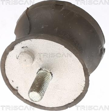 Triscan 8505 11201 - Mounting, automatic transmission autospares.lv