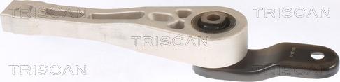 Triscan 8505 29109 - Holder, engine mounting autospares.lv