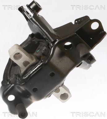 Triscan 8505 29103 - Holder, engine mounting autospares.lv