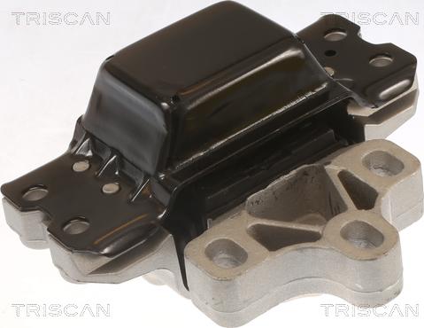 Triscan 8505 29116 - Holder, engine mounting autospares.lv