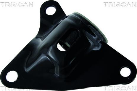 Triscan 8500 40805 - Bush of Control / Trailing Arm autospares.lv