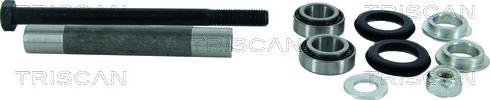 Triscan 8500 15401 - Suspension Kit autospares.lv