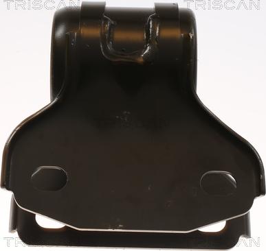 Triscan 8500 16894 - Bush of Control / Trailing Arm autospares.lv