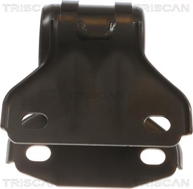 Triscan 8500 16893 - Bush of Control / Trailing Arm autospares.lv