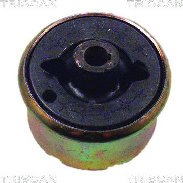 Triscan 8500 16820 - Bush of Control / Trailing Arm autospares.lv