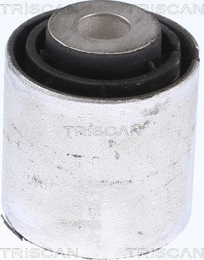 Triscan 8500 118019 - Bush of Control / Trailing Arm autospares.lv