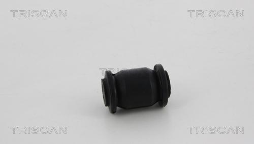 Triscan 8500 13813 - Bush of Control / Trailing Arm autospares.lv