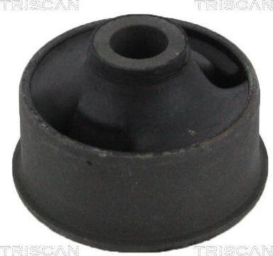 Triscan 8500 13828 - Bush of Control / Trailing Arm autospares.lv