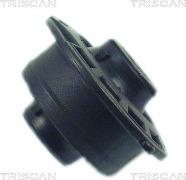 Triscan 8500 38802 - Bush of Control / Trailing Arm autospares.lv