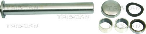 Triscan 8500 29025 - Idler Arm autospares.lv