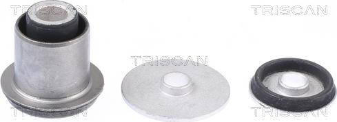 Triscan 8500 298066 - Bush of Control / Trailing Arm autospares.lv