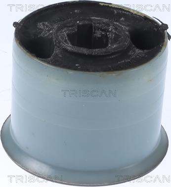 Triscan 8500 298071 - Bush of Control / Trailing Arm autospares.lv