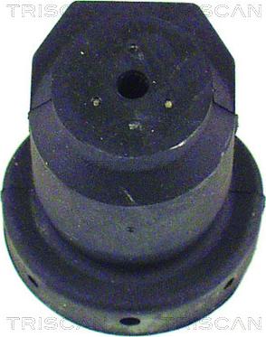 Triscan 8500 29816 - Bush of Control / Trailing Arm autospares.lv