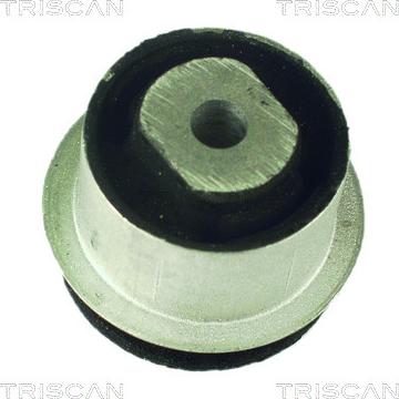 Triscan 8500 24832 - Bush of Control / Trailing Arm autospares.lv