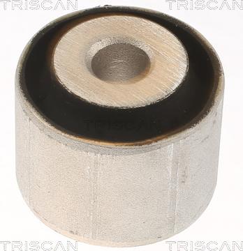 Triscan 8500 238029 - Bush of Control / Trailing Arm autospares.lv